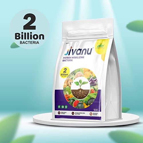Jivanu (Potassium Solubilizing and Mobilizing Bacteria – KSB/KMB) Bio-Fertilizers (500 Gram)