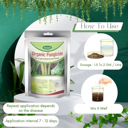 Katyayani All in 1 Organic Fungicide for Plants Flower Vegetable Mildew Rust Blight Disease Control 100 Gram Powder Pack of 1