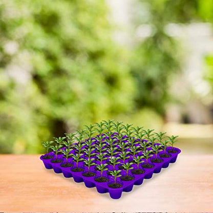 Kraft Seeds Seedling Pro Tray Colourful Exotic and Beautiful 49 Cavities (Pack of 10)