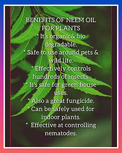 neem oil
