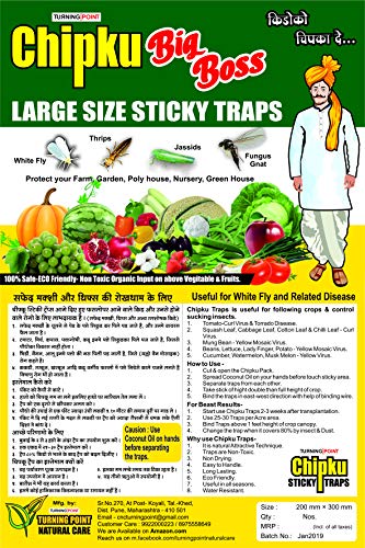 चिपकू स्टिकी इन्सेक्ट ट्रैप (पीला, 200 x300 mm, लार्ज साइज़) - 10 का पैक