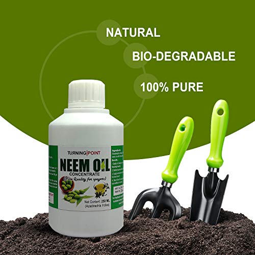 neem oil is natural and biodegradable