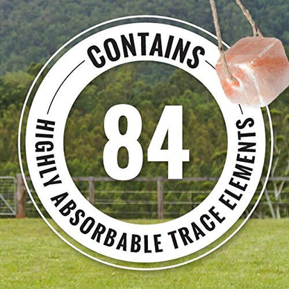 Milliard 6 lb Himalayan Animal Salt Lick for Horses, Deer, and Livestock with Rope