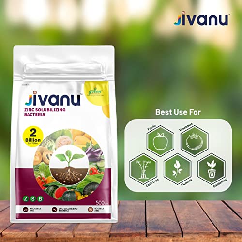 Jivanu Zinc Solubilizing Bacteria Bio Fertilizer - ZSB for All Plants and Home Garden Eco-Friendly (500 Gram)