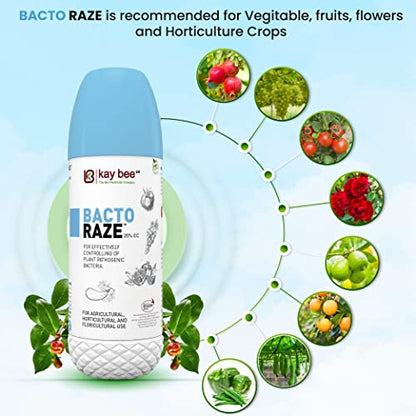 Kay Bee Plant-Based Environmental Friendly Bio-Bactericide Bacto Raze (250Ml)