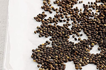 VedoMax Papaya Seeds | Papita Beej | Dried Papaya Seeds | - (50 gm)