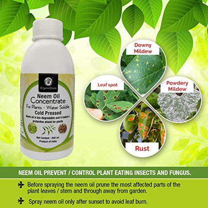 control downy mildw, powdery mildew, rust, leaf spot