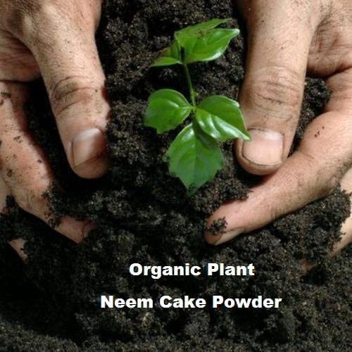 SDF INDIA Neem Cake Powder Organic Fertilizer and Pest Repellent for Plants (10KG)