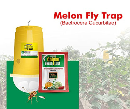 Chipku ECO Trap/IPM Trap/Glass Trap/Melon Fly Trap- Useful for Melon cucurbitae Bottle Guard All Vegetable -2 Pieces