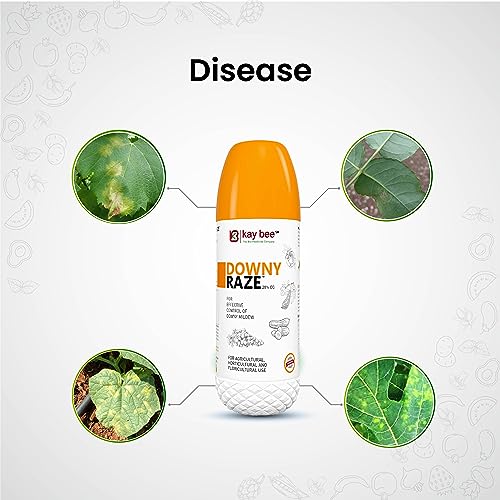 best fungicide for downy mildew on grapes