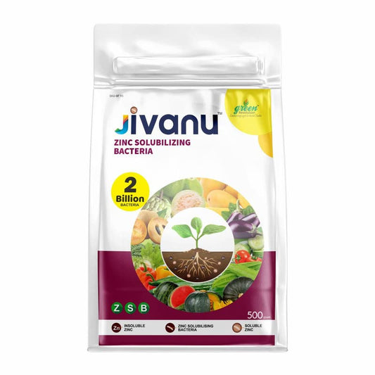 Jivanu Zinc Solubilizing Bacteria Bio Fertilizer - ZSB for All Plants and Home Garden Eco-Friendly (500 Gram)