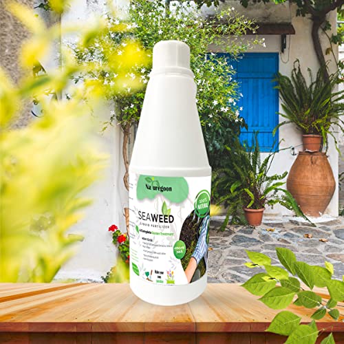 Naturegoon 450 ml Concentrate Liquid Seaweed Fertilizer for Plants| Essential for Indoor & Outdoor Plant Growth| Flowering |Gardening and Agriculture|Keeps Plants Healthy and Greenish (450 ml)