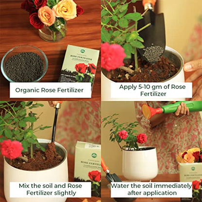 TrustBasket Rose Fertilizer (450gm - Set of 1) | Rose Plant Food For Flowering Plants | For All Rose Varieties | Flower Booster Rose Mix | Granulated Rose Food