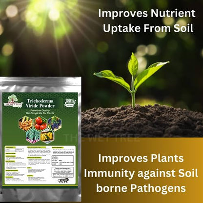 THE WET TREE Trichoderma Viride Powder | Bio Fungicide for Home & Garden Plants | Controls Root Rot, Stem Rot, Bacterial & Fungal Diseases (1.8 KG)