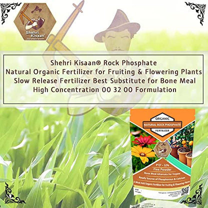 Shehri Kisaan® Rock Phosphate Natural- 5Kg | Organic Fertilizer for Fruiting & Flowering Plants | Slow Release Fertilizer Best Substitute for Bone Meal | High Concentration 00 32 00 Formulation
