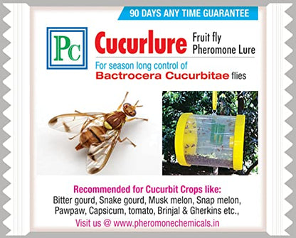 CUCURLURE: Nature's Trap for Destructive Fruit Flies
