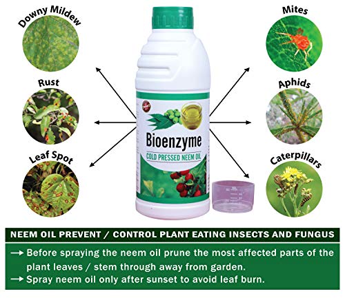 neem oil for fungus and pest control
