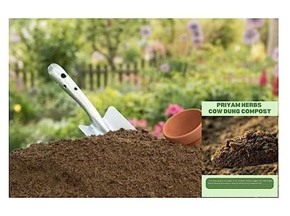 Evergrow Cow Dung Compost Fertilizer Manure for Plants Organic Fertilizer Natural Fresh Plant Garden Cow Compost (Pack of 1 KG)