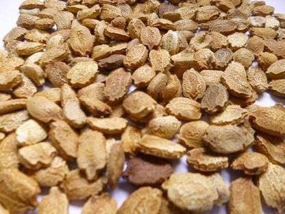 advanta upl hybrid golden DARWIN BITTERGURD seeds 1000 pcs