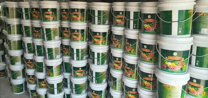 Pancham Granules (Zyme Granules) Unique Formulation to Increase Plant Growth and Yield