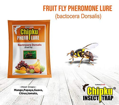 Chipku- Pheromone attractant Lure (Fruit Fly- Bactocera dorcalis) occurs in Mango, Sapota,gauva,etc (50)