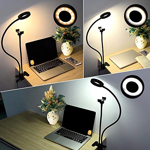Unifree Professional Selfie Ring Light and Cell Phone & Webcam Holder Stand for Live Stream, Makeup TIK Tok, Vigo, YouTube and Video Recording.