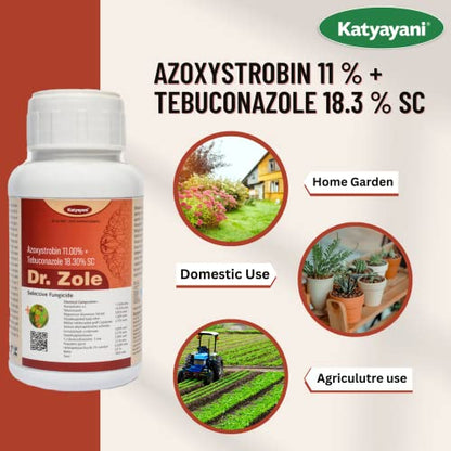 Katyayani Azoxystrobin 11 % + Tebuconazole 18.3 % SC Systemic Fungicide Powerful Broad Spectrum Control Early Blight Late Blight Yellow Rust Disease New Generation Fungus Control (250 ML(Set of 1))