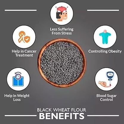 BAJUM 1 KG 2 PACK BLACK WHEAT for eating and cooking | kale gehu ka atta | Produce of India from Organic Farms