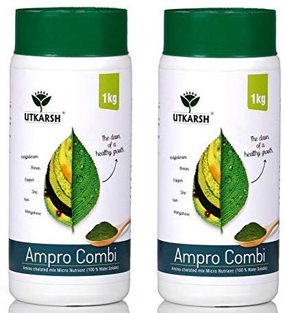 Ampro Combi  (500gm) (Set of 2)
