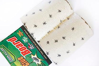 Fly Glue Trap Sticker Paper/Sticky Traps For Home Flies, Pack of20 (Green)