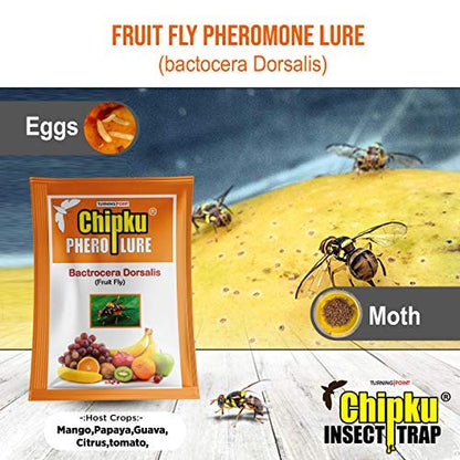 Chipku- Pheromone attractant Lure (Fruit Fly- Bactocera dorcalis) occurs in Mango, Sapota,gauva,etc (50)