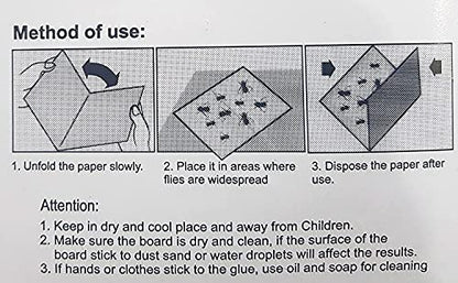 How to control house fly?