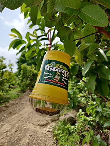 B & B Agro Products-Chakravyuha fruitfly attractant Trap for Fruit and Vegetables ( Pack of 50) ( Contains 50 Traps and 50 Lures )