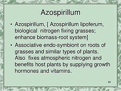 Azospirillum 500 GMS