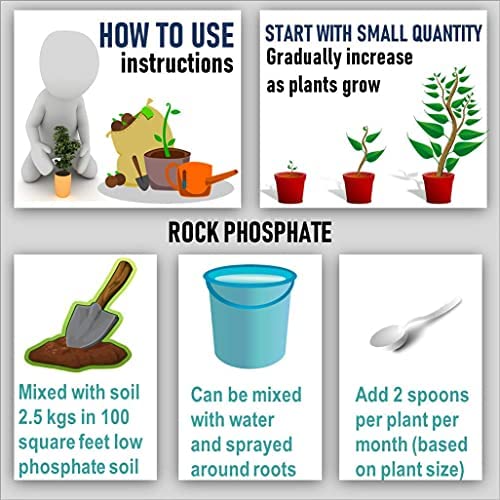 SDF INDIA Organic Rock Phosphate Essential Fertilizer All Purpose Powder for Fruiting and Flowering Plants (10)