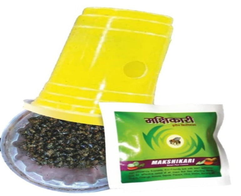fruit fly trap price