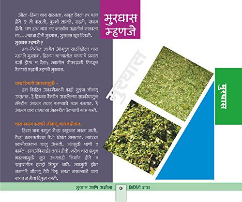 मुरघास आणि अझोला - निर्मिती आणि वापर (पहिली आवृत्ती, 2014)