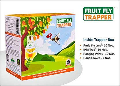 Green Revolution Fruit Fly Trapper (Fruit Fly Pheromone Trap) Complete for one Acre. Pack of 10