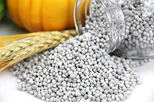 DAP fertilizer for kitchen garden
