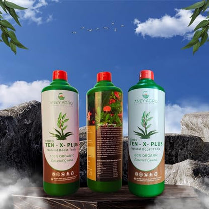 Ten X Plus Bottle Combo1