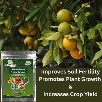 THE WET TREE Trichoderma Viride Powder | Bio Fungicide for Home Garden Plants | Controls Root Rot, Stem Rot, Bacterial & Fungal Diseases 250GM