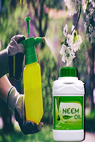 neem oil for garden