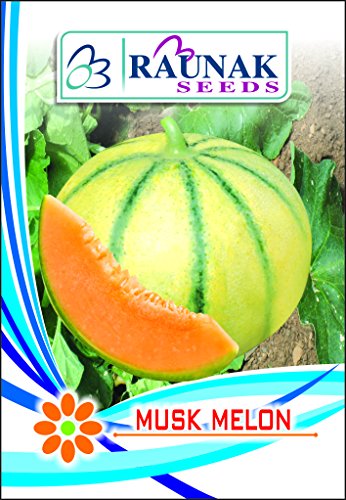 hara madhu muskmelon