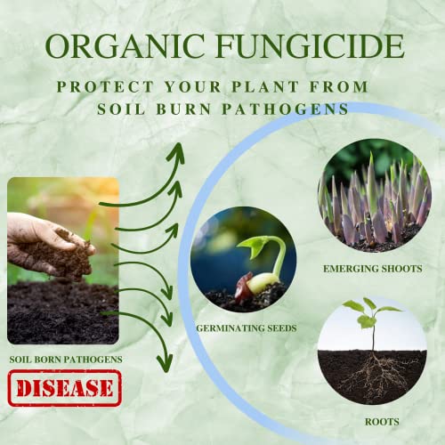 Katyayani All in 1 Organic Fungicide for Plants Flower Vegetable Mildew Rust Blight Disease Control 100 Gram Powder Pack of 1