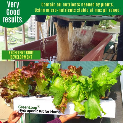 GreenLoop Hydroponic Nutrients– LEAFY200, Hydroponic nutrients, Solid Mixture, Makes 200 Liter hydroponic Solution, Suitable for All Plants & Better Leafies, Complete - Contains Everything