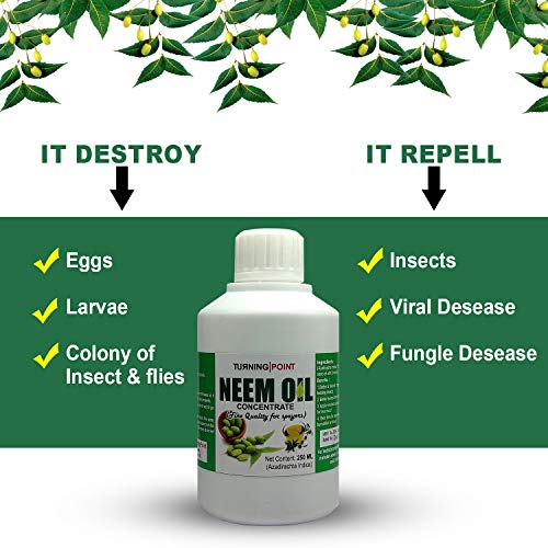 neem oil destroy eggs, larvae, adult pest