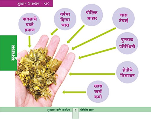 मुरघास आणि अझोला - निर्मिती आणि वापर (पहिली आवृत्ती, 2014)