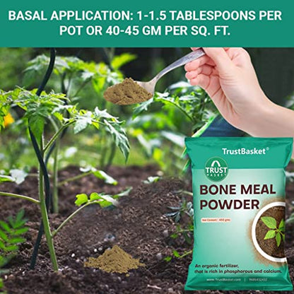TrustBasket Organic Bone Meal for Plants Home Gardening | Steamed Bone Meal | Rich in Phosphorus and Calcium | Natural Plant Fertilizer| - 450 Grams (Set of 2)