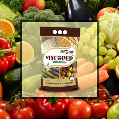 Mycorrhizae
