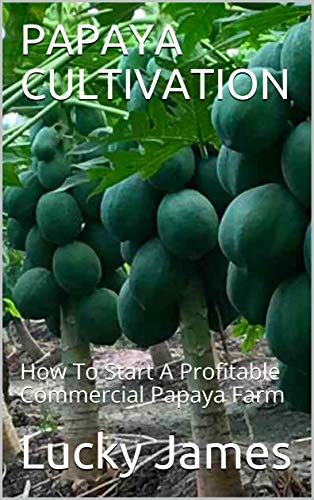 PAPAYA CULTIVATION: How To Start A Profitable Commercial Papaya Farm